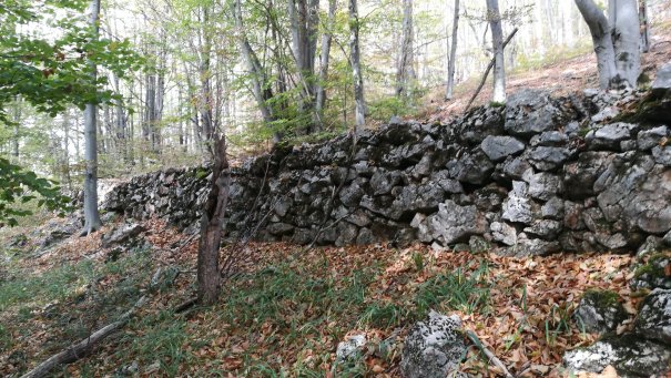 zidul de la cioclovina11